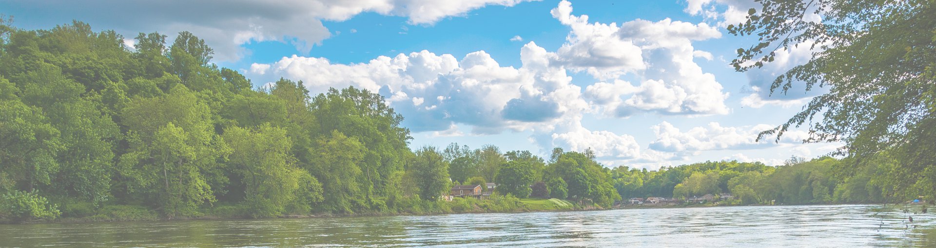 Whitemarsh Township Authority